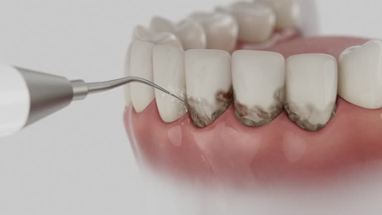 Reliable Dental contractor in Lamar, AR by Dentist Open Now